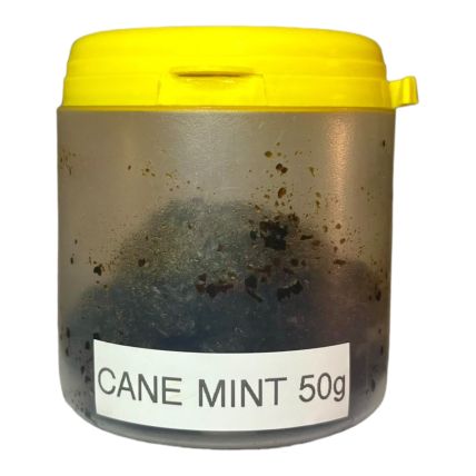 TANGIERS CANE MINT 50G LINHAS
